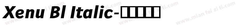 Xenu Bl Italic字体转换